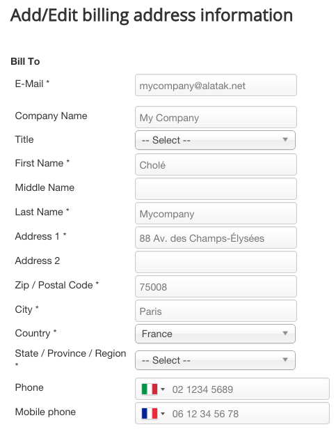 Phone validator in the Bill To address